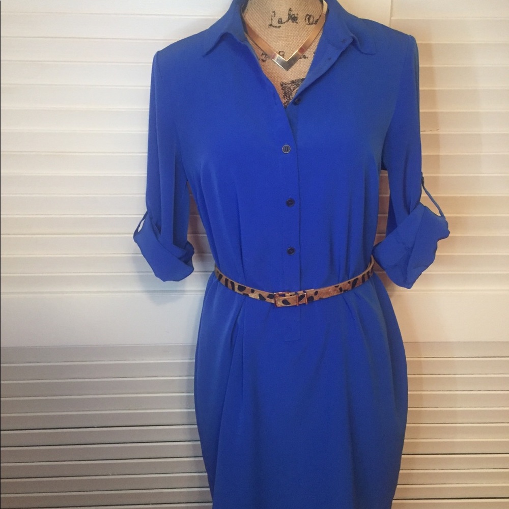 Button down collared dress